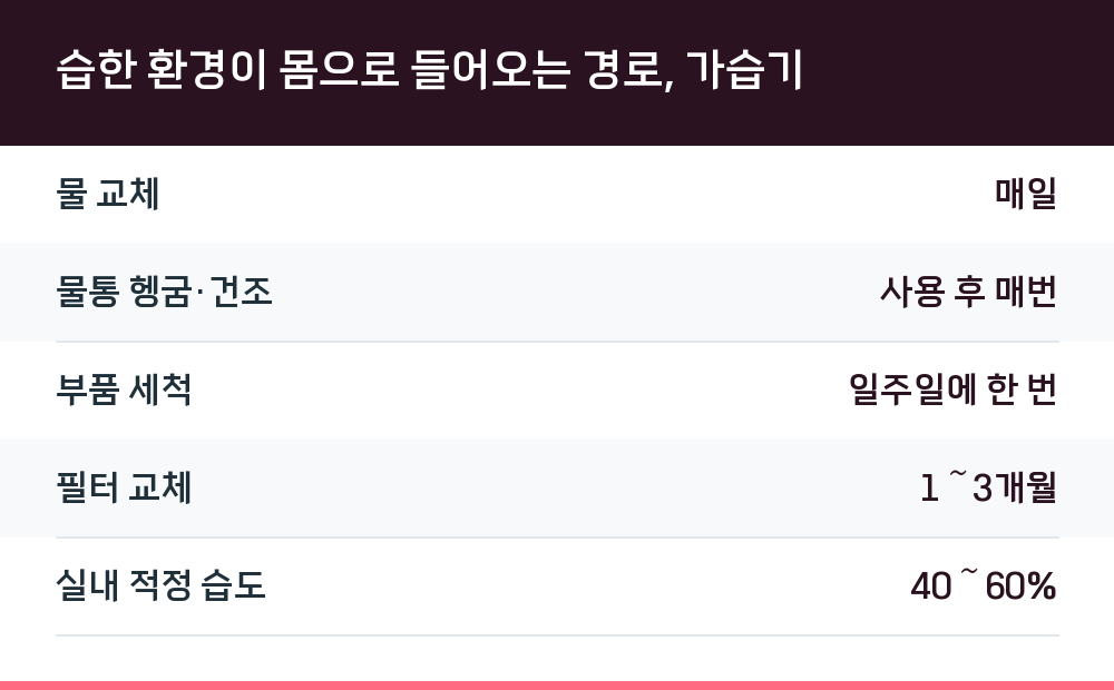 습한 환경이 몸으로 들어오는 경로, 가습기
