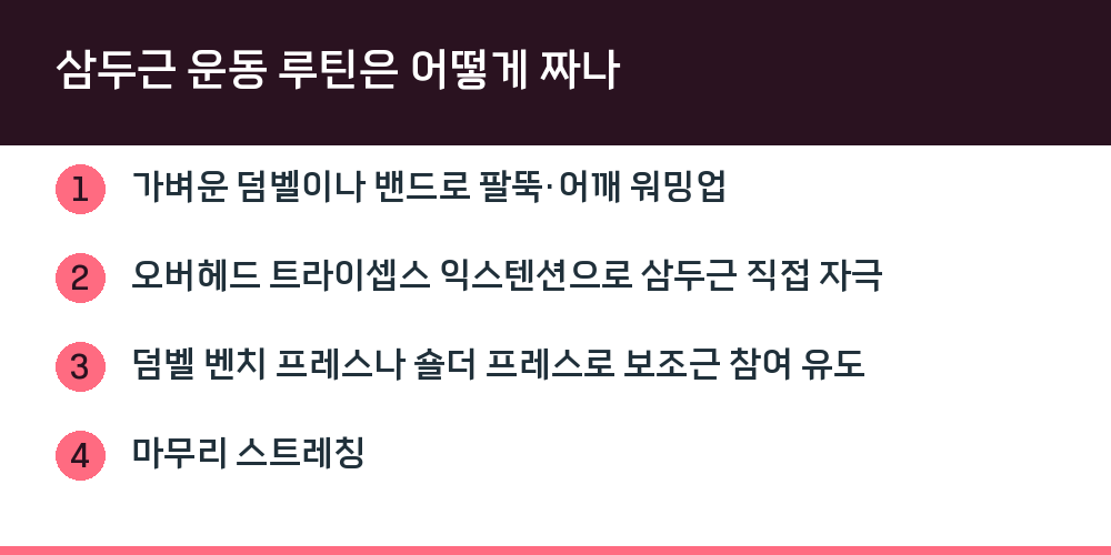 삼두근 운동 루틴은 어떻게 짜나