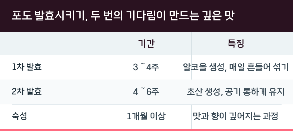 포도 발효시키기, 두 번의 기다림이 만드는 깊은 맛