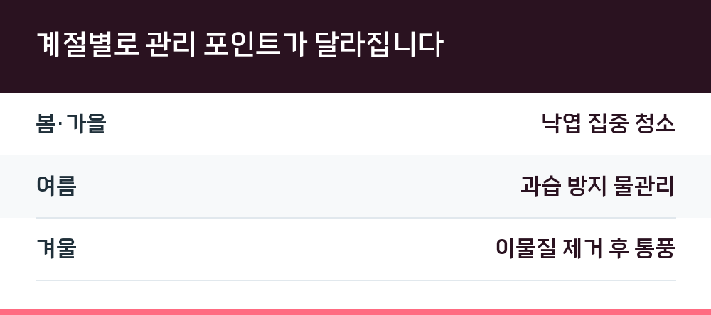 계절별로 관리 포인트가 달라집니다