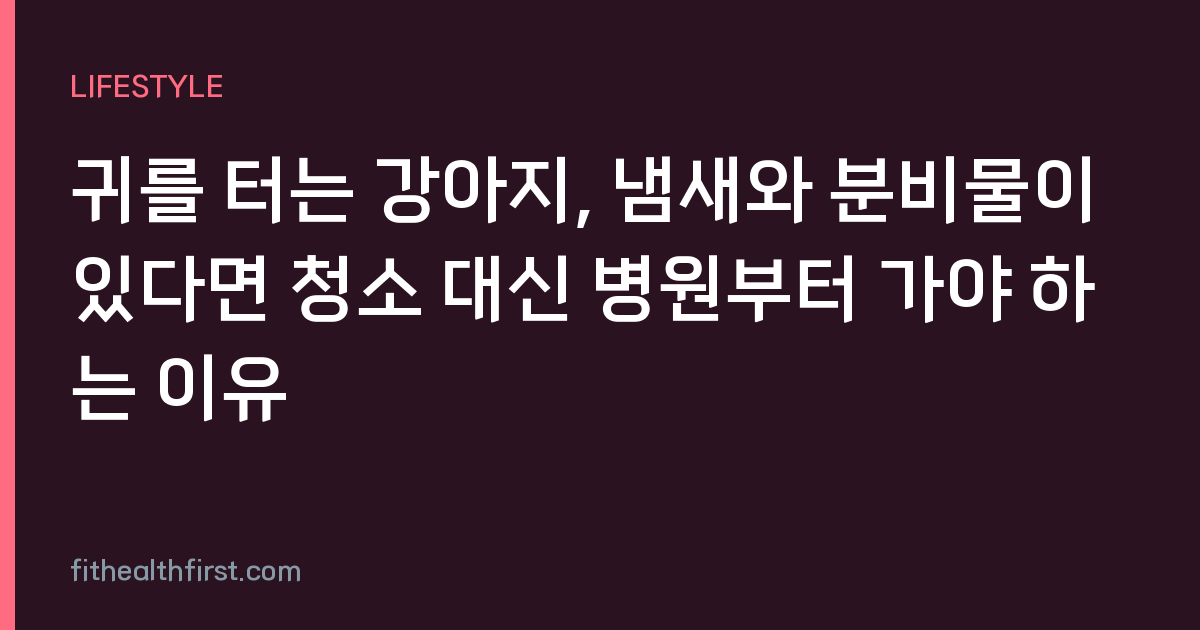 귀를 터는 강아지, 냄새와 분비물이 있다면 청소 대신 병원부터 가야 하는 이유