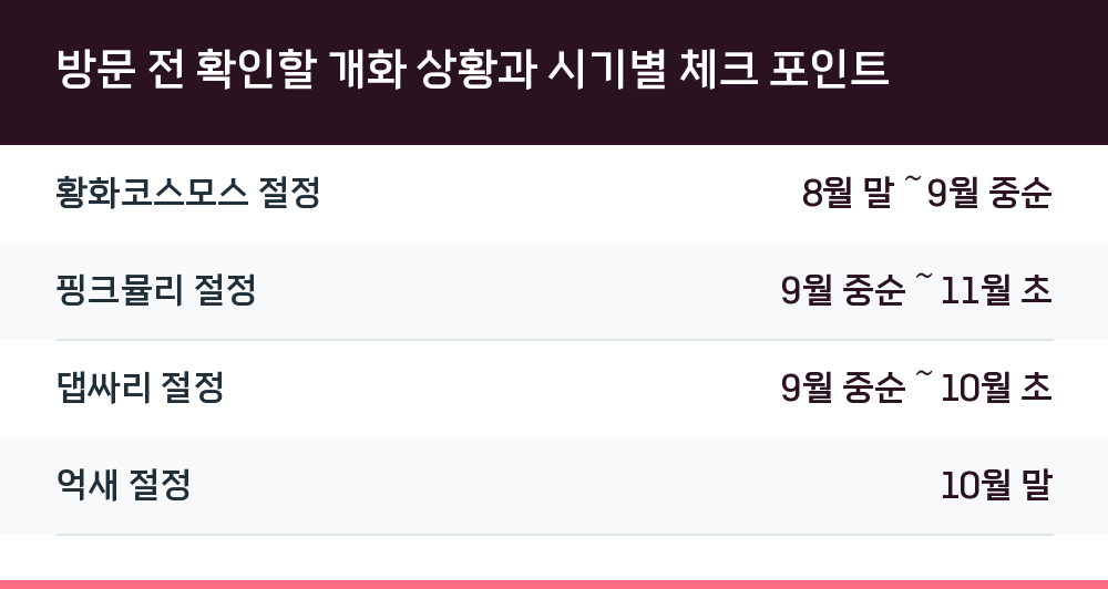 방문 전 확인할 개화 상황과 시기별 체크 포인트
