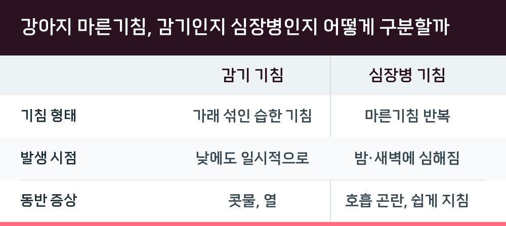 강아지 마른기침, 감기인지 심장병인지 어떻게 구분할까