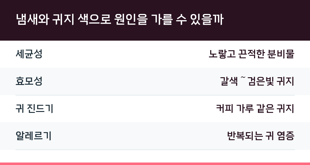 냄새와 귀지 색으로 원인을 가를 수 있을까