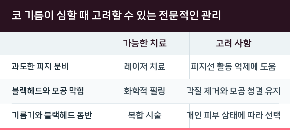 코 기름이 심할 때 고려할 수 있는 전문적인 관리
