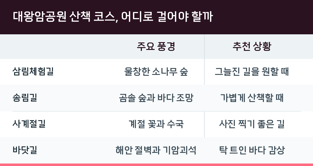 대왕암공원 산책 코스, 어디로 걸어야 할까