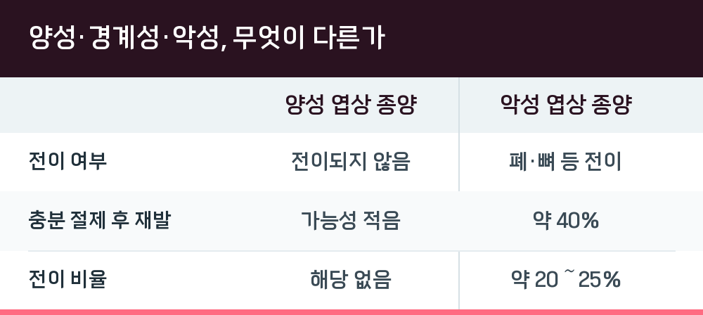 양성·경계성·악성, 무엇이 다른가