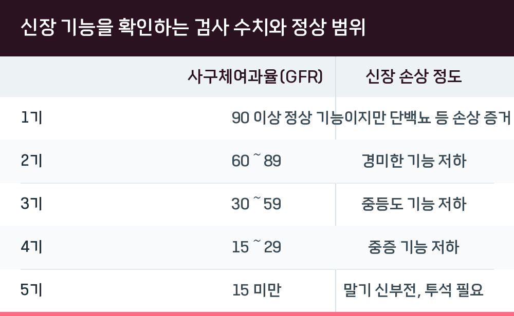 신장 기능을 확인하는 검사 수치와 정상 범위