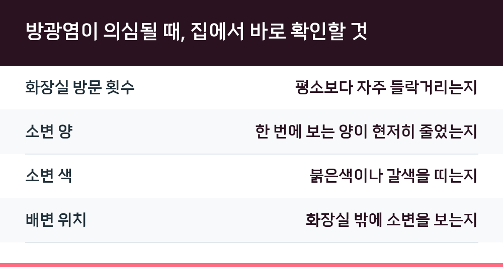 방광염이 의심될 때, 집에서 바로 확인할 것