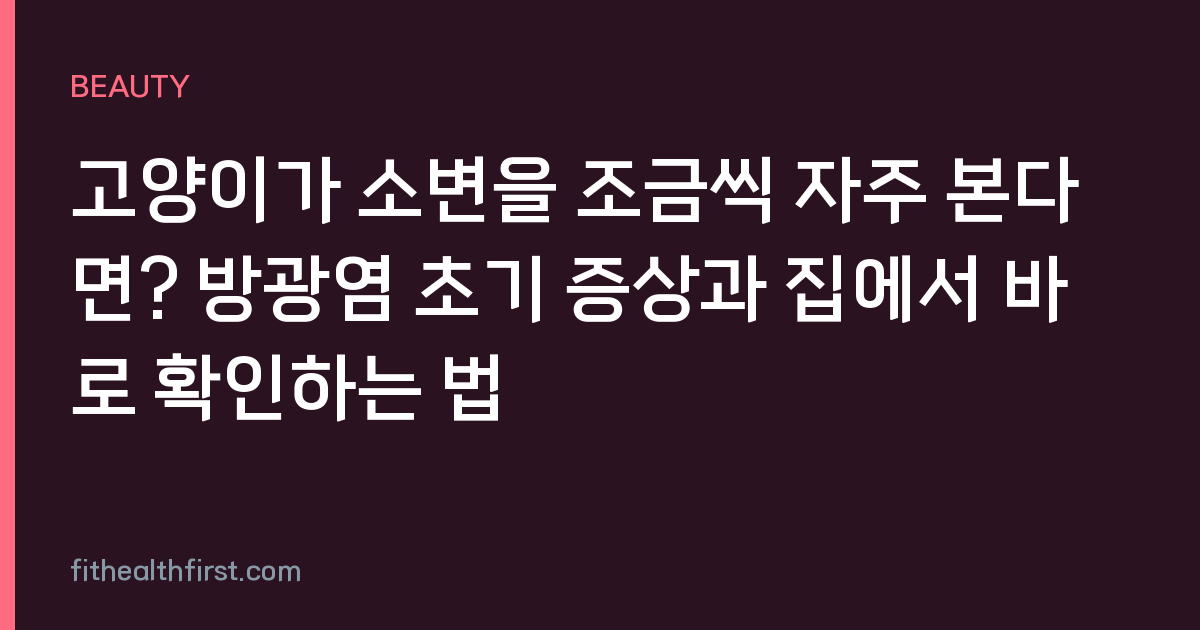 고양이가 소변을 조금씩 자주 본다면? 방광염 초기 증상과 집에서 바로 확인하는 법