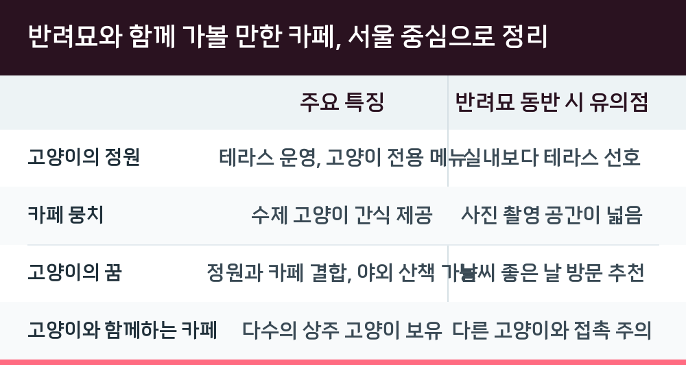 반려묘와 함께 가볼 만한 카페, 서울 중심으로 정리