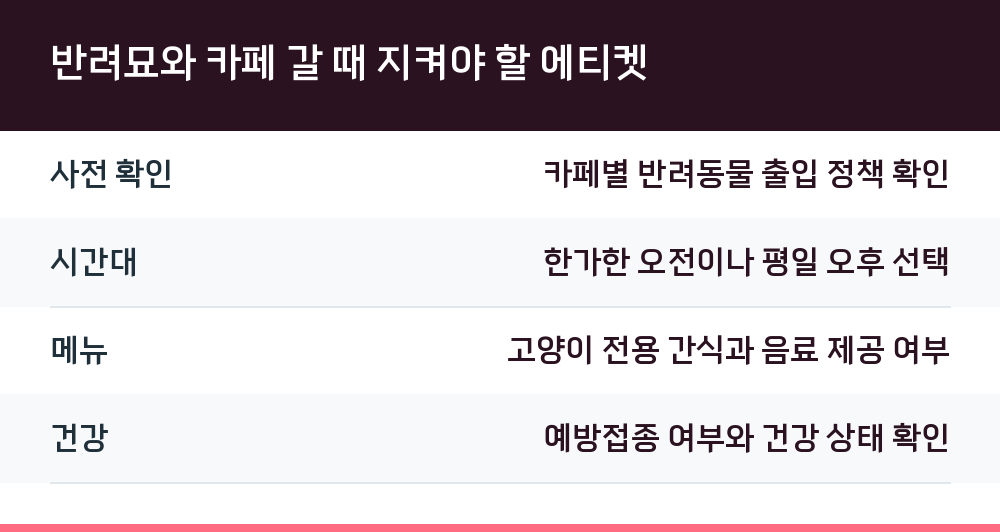 반려묘와 카페 갈 때 지켜야 할 에티켓
