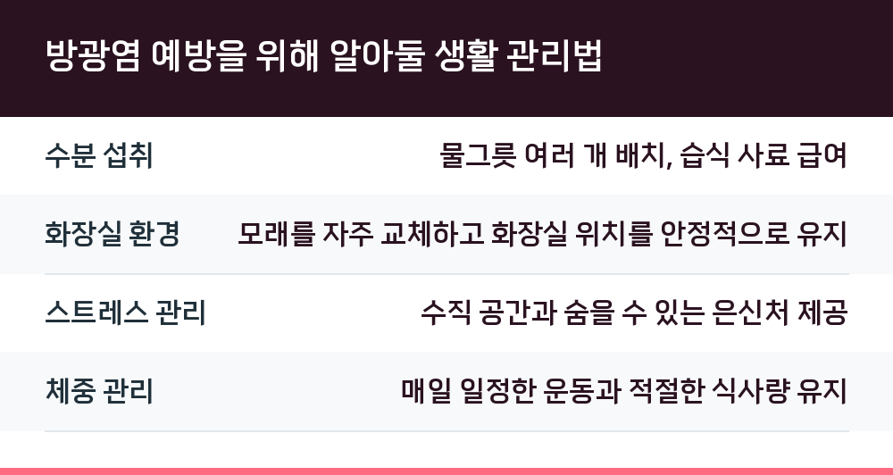 방광염 예방을 위해 알아둘 생활 관리법