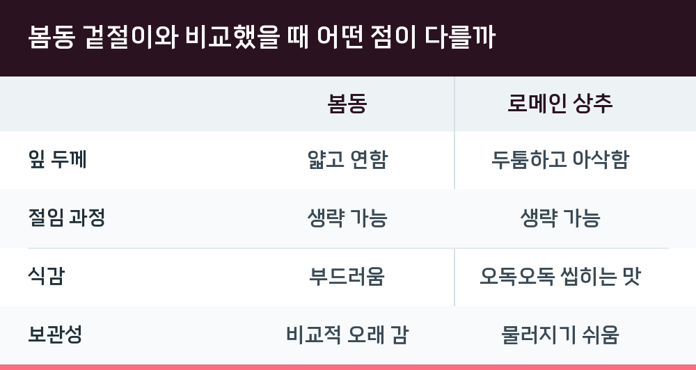 봄동 겉절이와 비교했을 때 어떤 점이 다를까