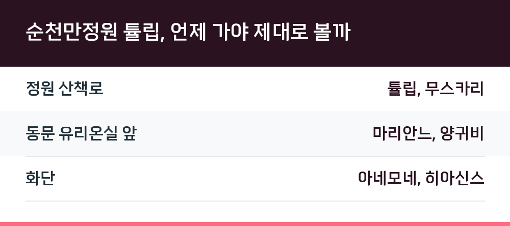 순천만정원 튤립, 언제 가야 제대로 볼까