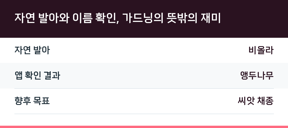 자연 발아와 이름 확인, 가드닝의 뜻밖의 재미
