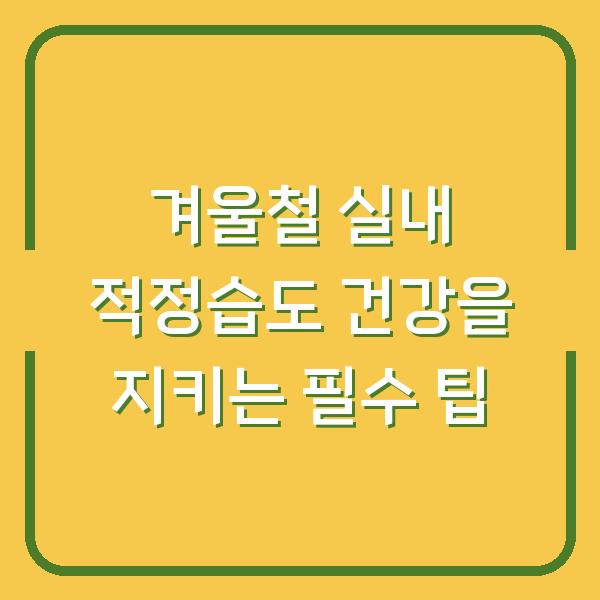 겨울철 실내 적정습도 건강을 지키는 필수 팁