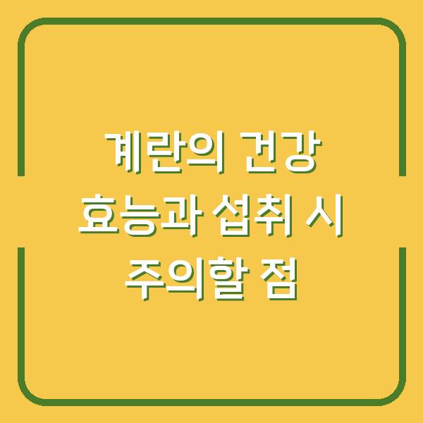 계란의 건강 효능과 섭취 시 주의할 점