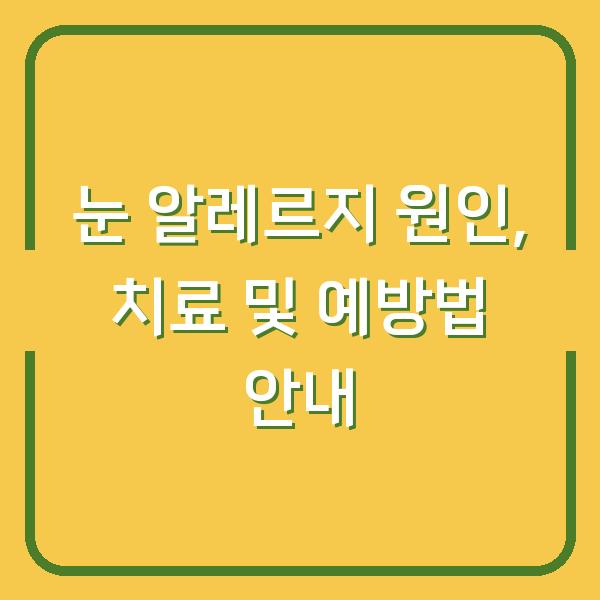 눈 알레르지 원인, 치료 및 예방법 안내