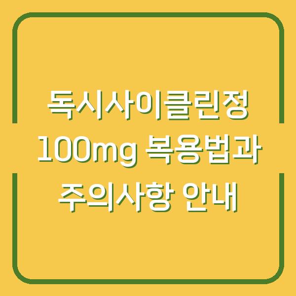 독시사이클린정 100mg 복용법과 주의사항 안내