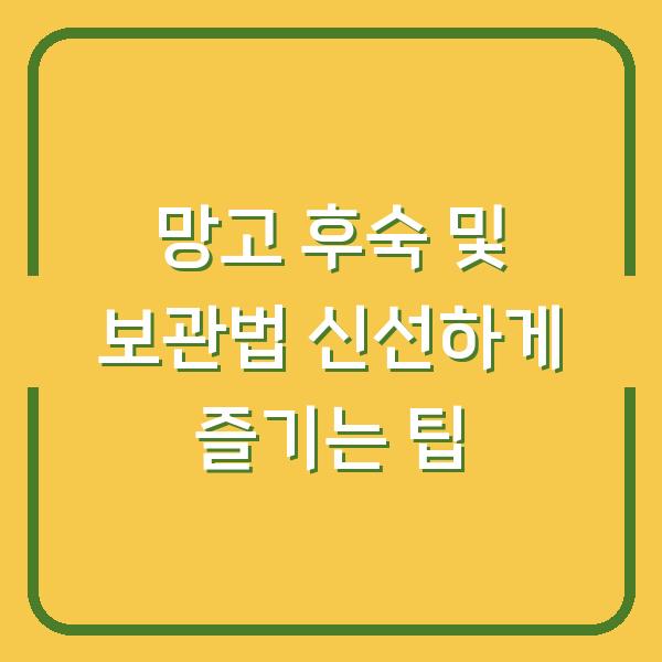 망고 후숙 및 보관법 신선하게 즐기는 팁