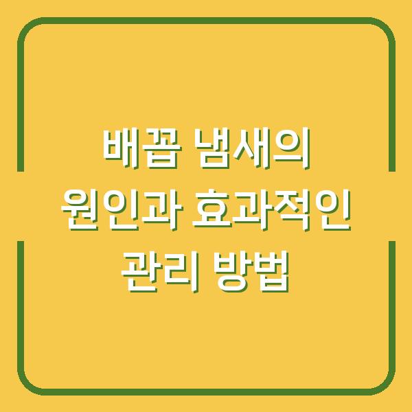 배꼽 냄새의 원인과 효과적인 관리 방법