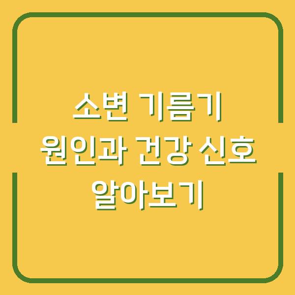 소변 기름기 원인과 건강 신호 알아보기