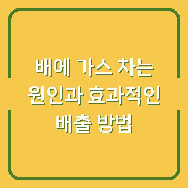 배에 가스 차는 원인과 효과적인 배출 방법