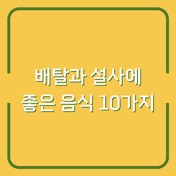 배탈과 설사에 좋은 음식 10가지