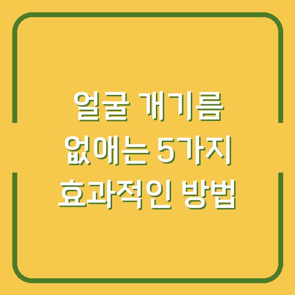 얼굴 개기름 없애는 5가지 효과적인 방법