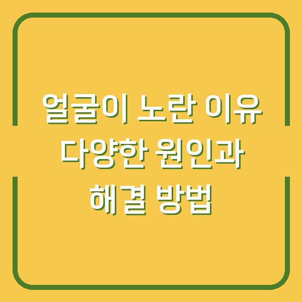 얼굴이 노란 이유 다양한 원인과 해결 방법