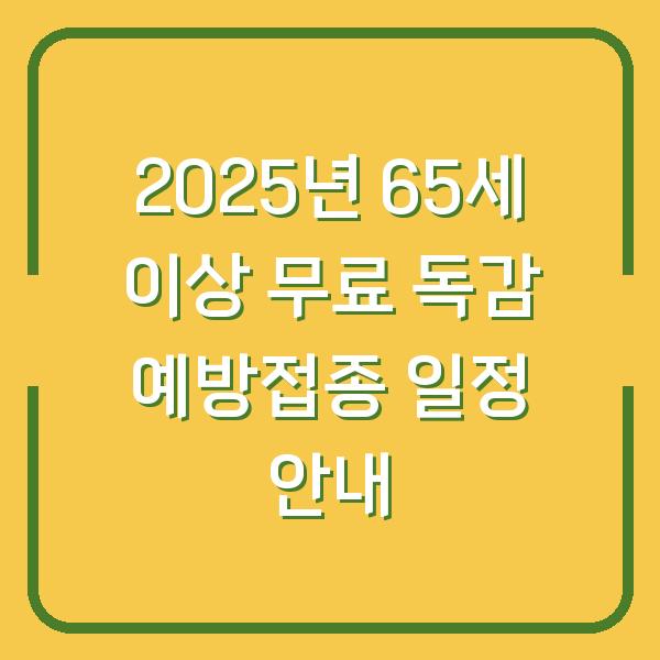 2025년 65세 이상 무료 독감 예방접종 일정 안내