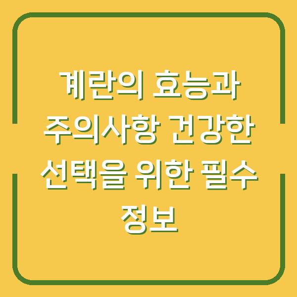 계란의 효능과 주의사항 건강한 선택을 위한 필수 정보