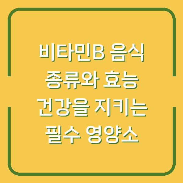 비타민B 음식 종류와 효능 건강을 지키는 필수 영양소