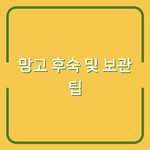 망고 후숙 및 보관 팁