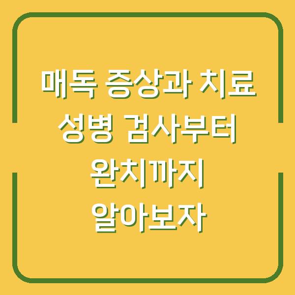 매독 증상과 치료 성병 검사부터 완치까지 알아보자