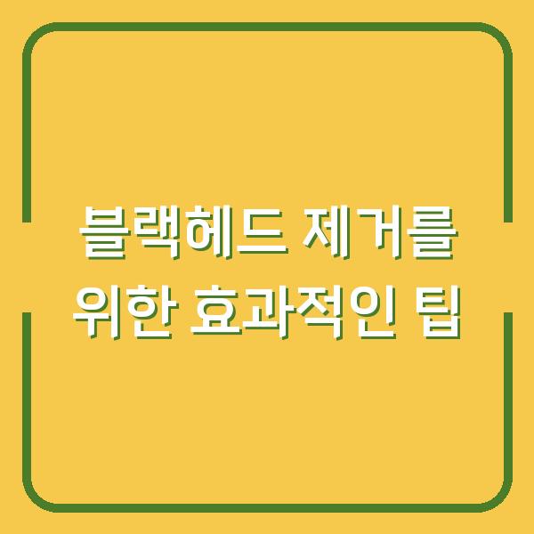 블랙헤드 제거를 위한 효과적인 팁