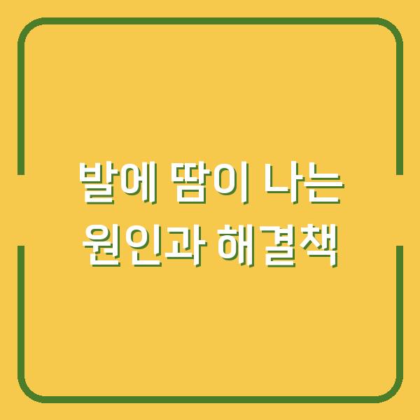 발에 땀이 나는 원인과 해결책