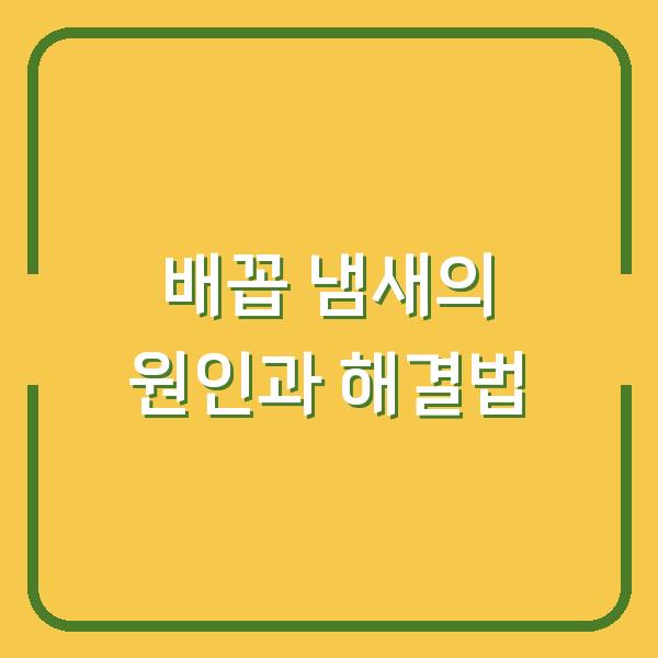 배꼽 냄새의 원인과 해결법