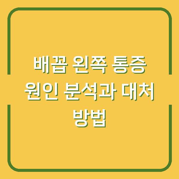 배꼽 왼쪽 통증 원인 분석과 대처 방법