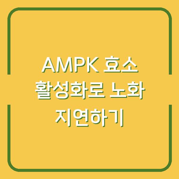 AMPK 효소 활성화로 노화 지연하기