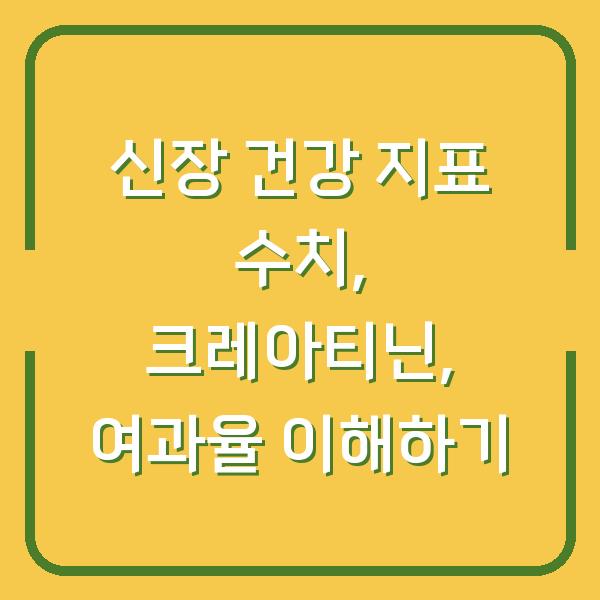 신장 건강 지표 수치, 크레아티닌, 여과율 이해하기