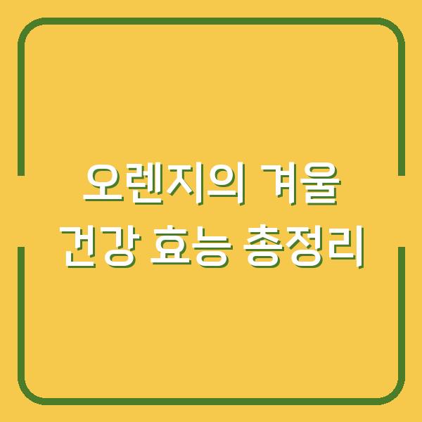 오렌지의 겨울 건강 효능 총정리