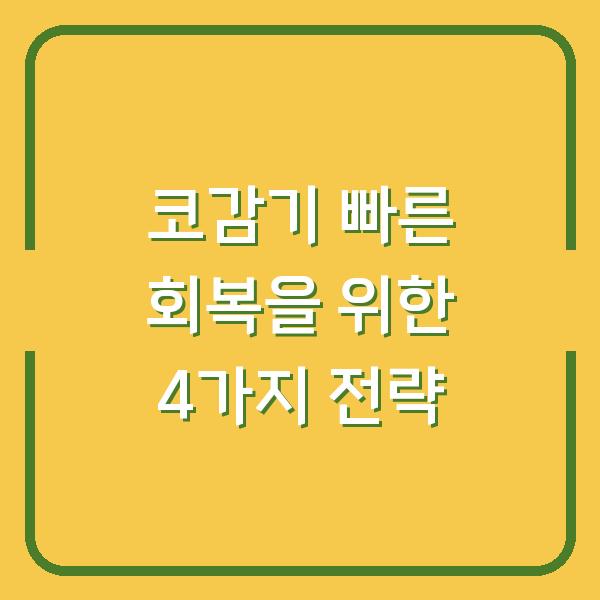 코감기 빠른 회복을 위한 4가지 전략