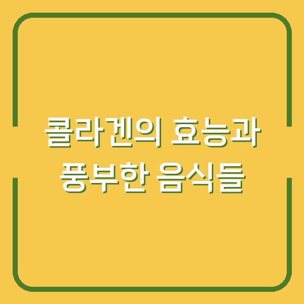 콜라겐의 효능과 풍부한 음식들