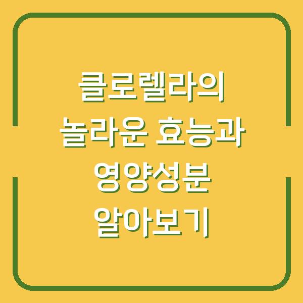 썸네일
