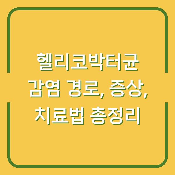 헬리코박터균 감염 경로, 증상, 치료법 총정리