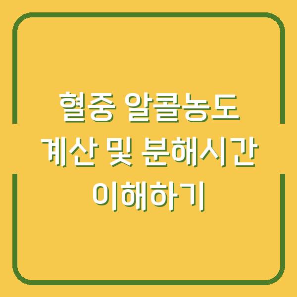 혈중 알콜농도 계산 및 분해시간 이해하기