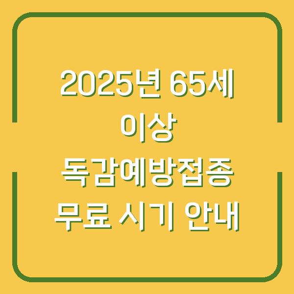 2025년 65세 이상 독감예방접종 무료 시기 안내