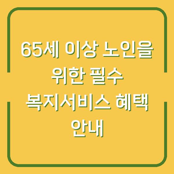 65세 이상 노인을 위한 필수 복지서비스 혜택 안내